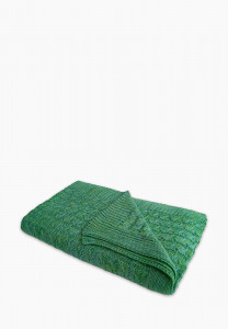 Плед/Плед 120х200 н31983 киви