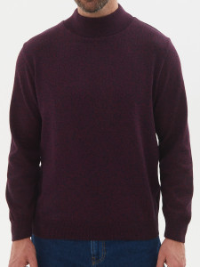 Джемпер высокое горло 22026 бордо 1