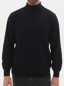Джемпер высокое горло 22026 черный